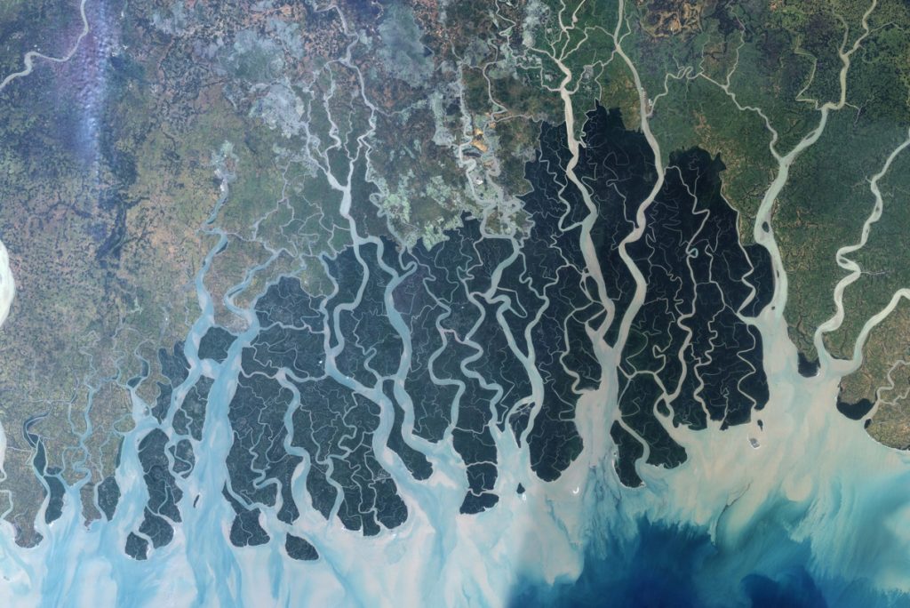Figure 2. Landsat 7 Image of the Sundarbans, released by NASA Earth Observatory.