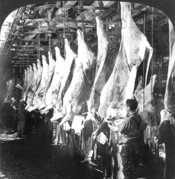 Limn meat_packing_Chicago_1906_dbloc