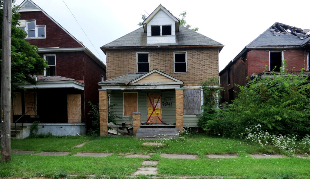 Standing forests—derelict houses in disrepair, Detroit, 2014