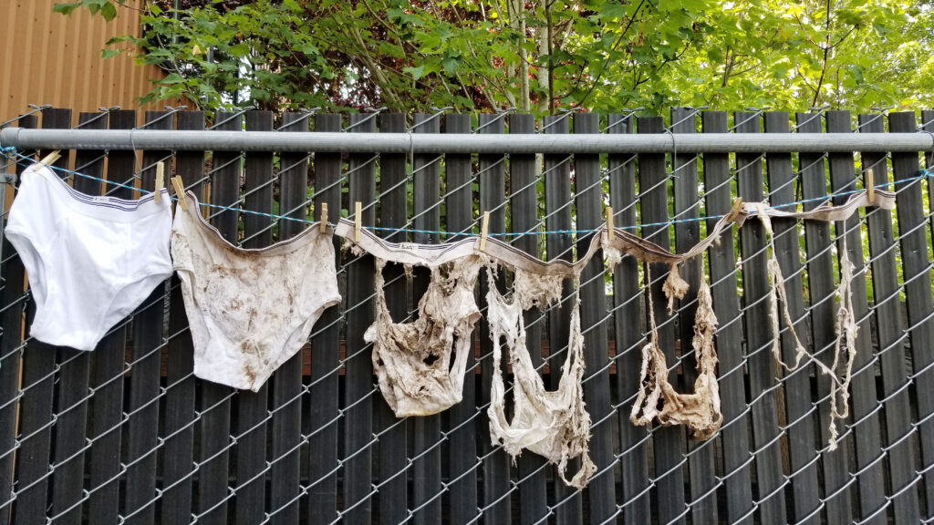 Decomposition of underwear buried in five sites with distinct soils