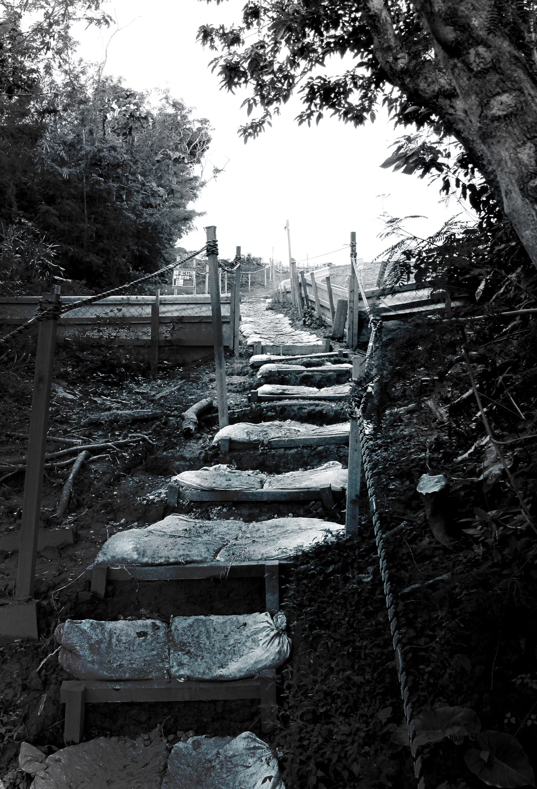 A staircase on an outdoor trail